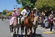 Desfile Caballos 037